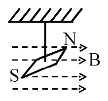Magnetic needle NS suspended by a thread in a uniform horizontal magnetic field B