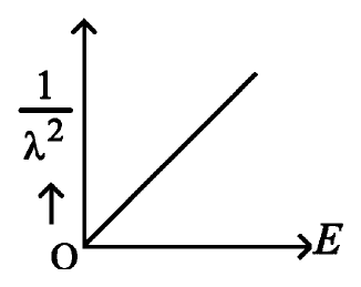 Option B